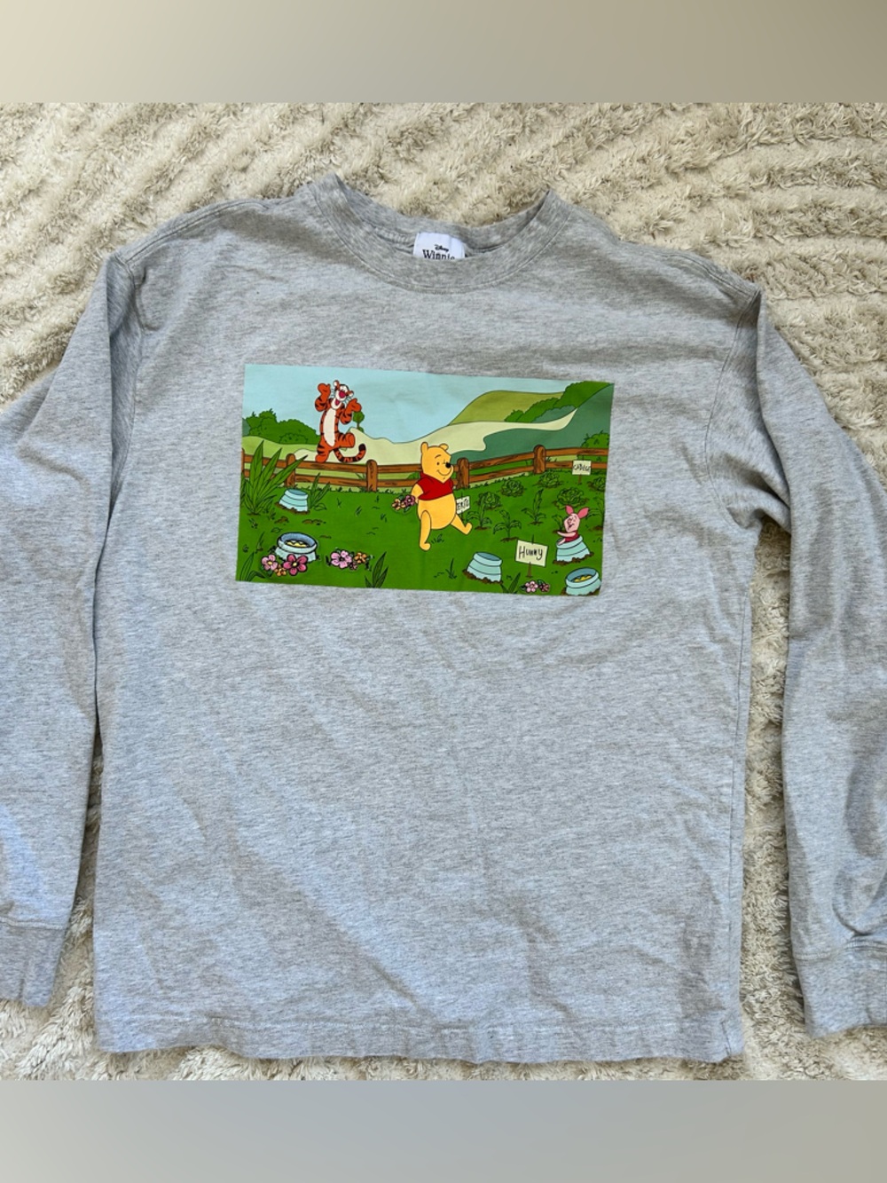 Disney’s Winnie the Pooh Embroidered Gray Long-Sleeve Graphic Tee
